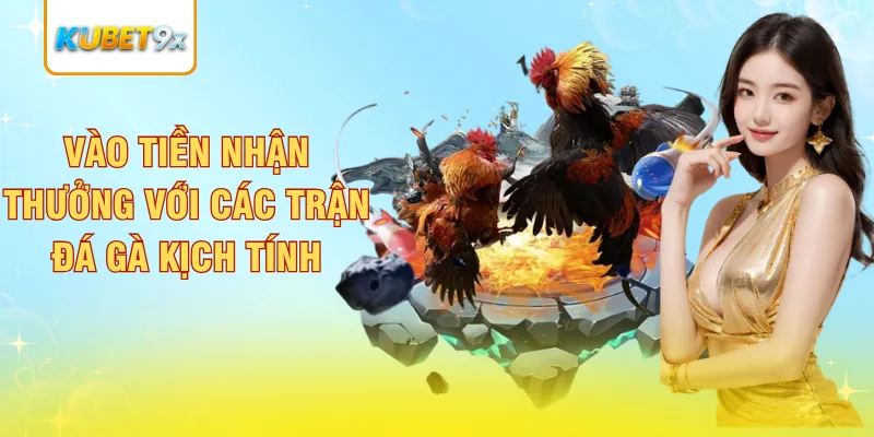 Vào tiền nhận thưởng với các trận đá gà kịch tính